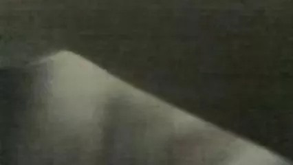 فاک داغ با رایلی میسون و شین کالینز