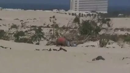 برای لعنتی از قفس سمت چپ