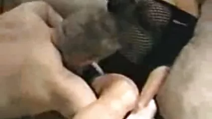 عروس مقعد هیچ مانعی ندارد